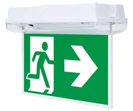orionsalitech4