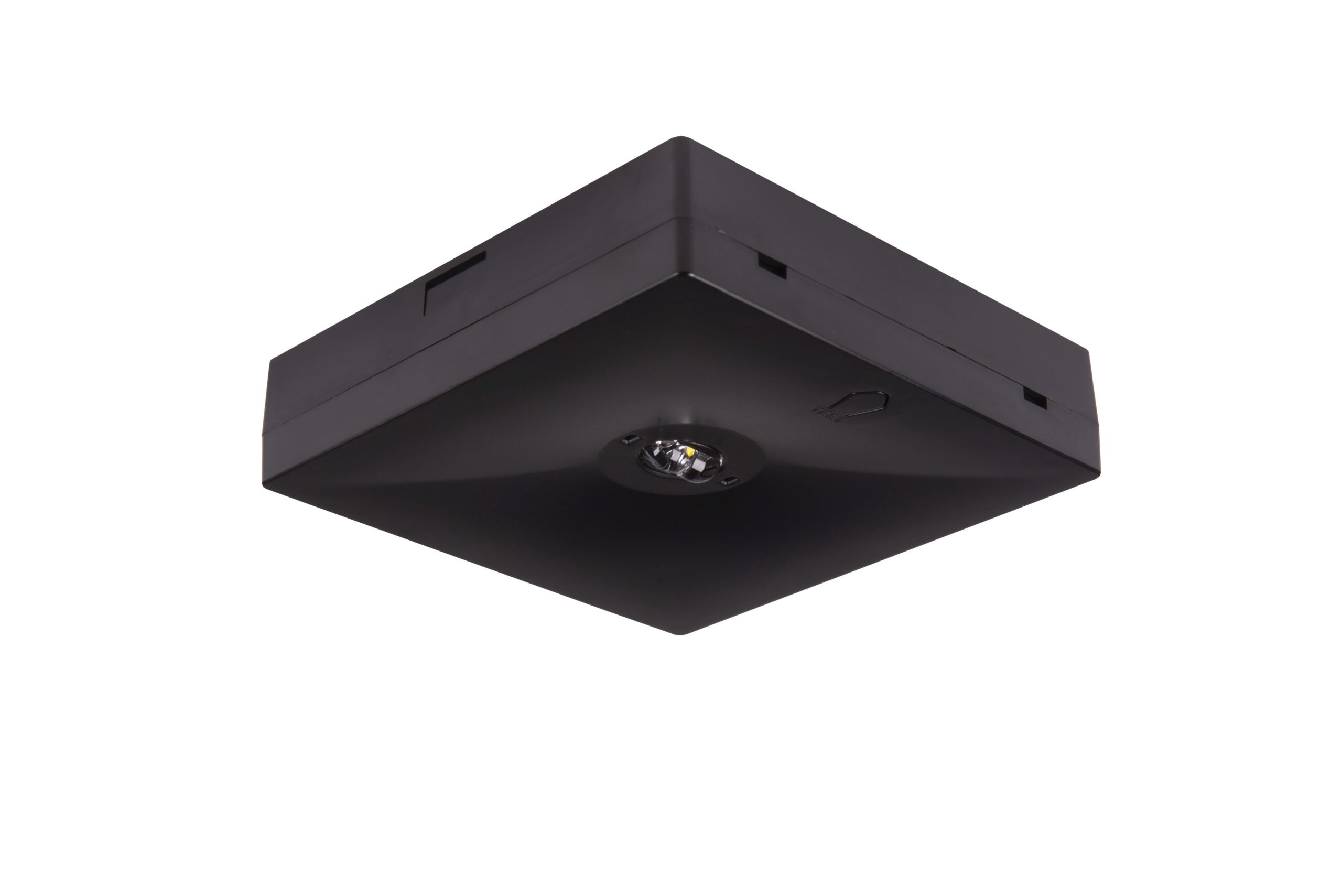 starletquadsalitech2