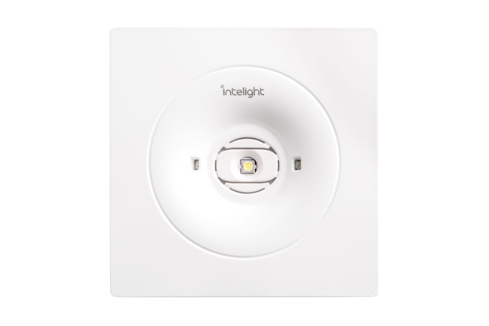 starletspotsalitech7
