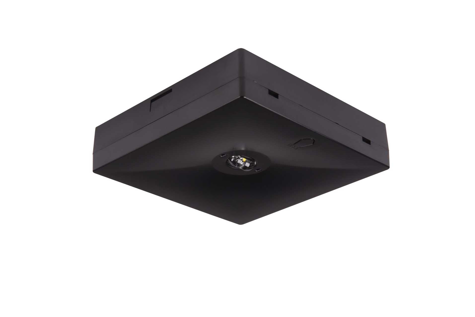 starletquadsalitech2